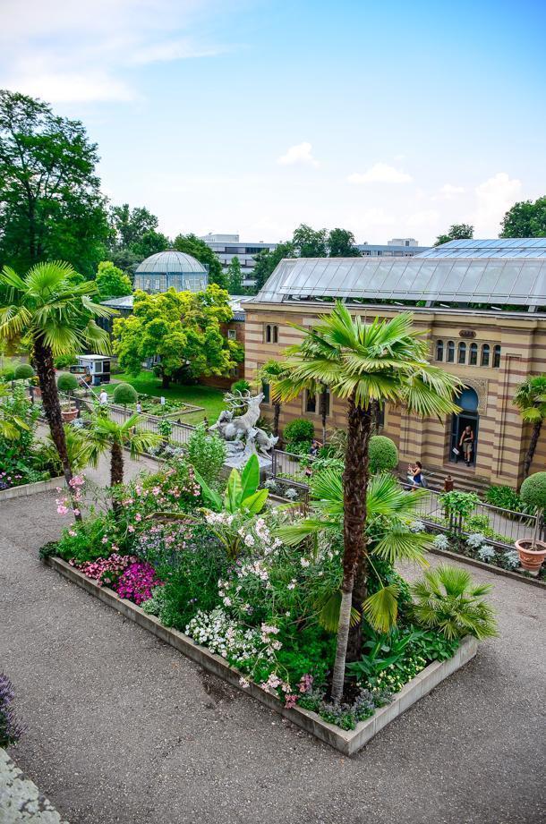A birds-eye-view of the botanical gardens