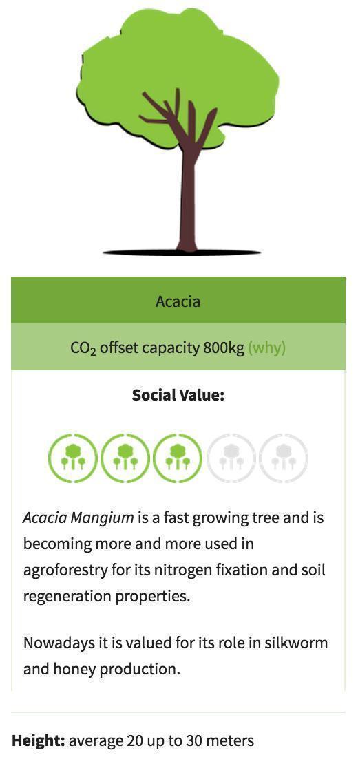 Our Acacia trees are helping the environment and the community 
