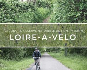 Cycling the Loire-a-Velo to Reserve Naturelle Saint Mesmin