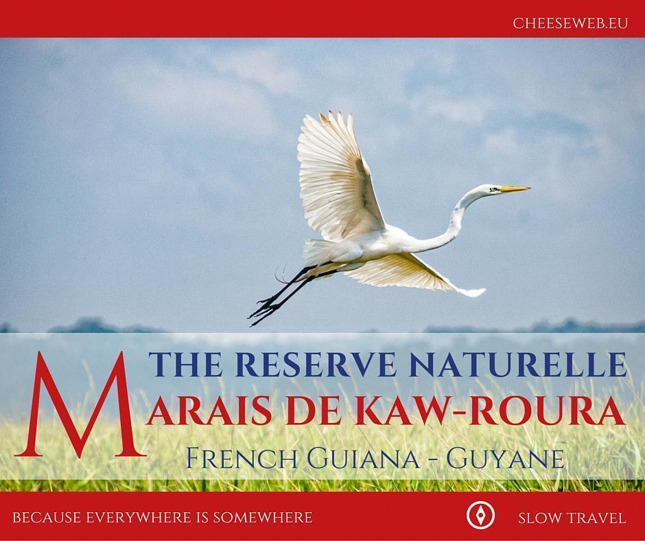 The reserve naturelle Marais de Kaw-Roura, French Guiana