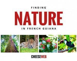 3 Easy ways to Experience Nature in French Guiana