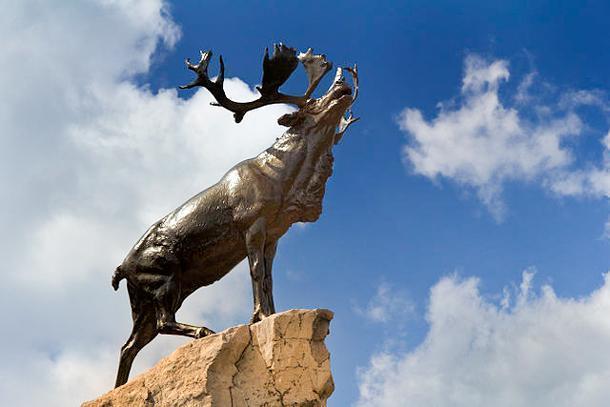 The Beaumont-Hamel Caribou by Gary Blakeley via Wikimedia Commons