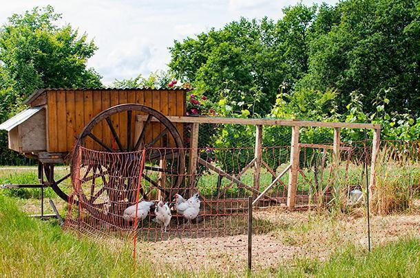 Even the chicken coop is picturesque at Chateau Feely