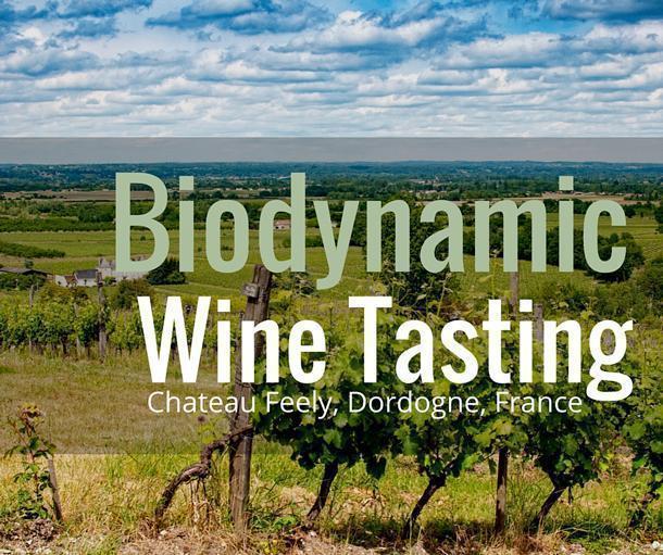 Biodynamic Wine Tasting at Chateau Feely, Dordogne, France