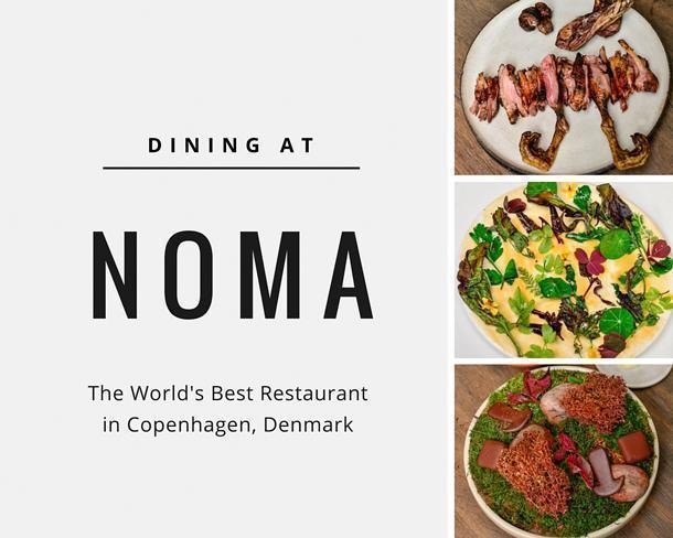 Dining at Noma, the World's Best Restaurant in Copenhagen, Denmark