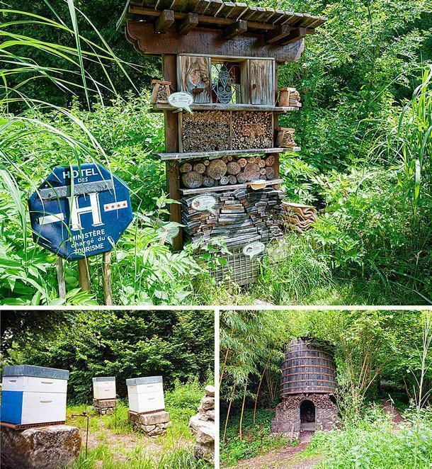 A five-star hotel for bugs, bee hives, and bird watching stations make the garden inclusive and educational 