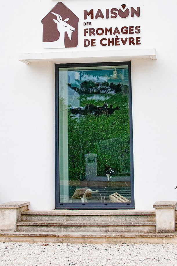 Maison des Fromages de Chèvre Goat Cheese Museum, in Celles-Sur-Belle, France