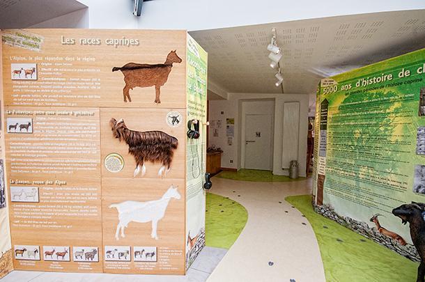 Inside the museum dedicated to the making of goat cheese in Poitou, France