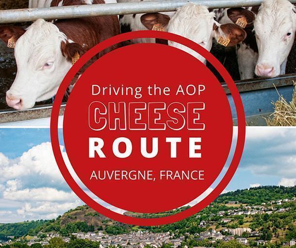 Driving the AOP Cheese Route in Auvergne, France