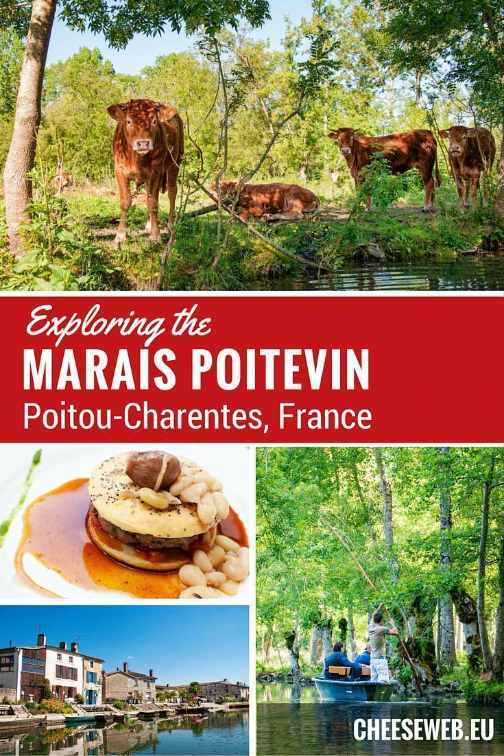 Exploring the Marais Poitevin, Coulon, Poitou-Charentes, France