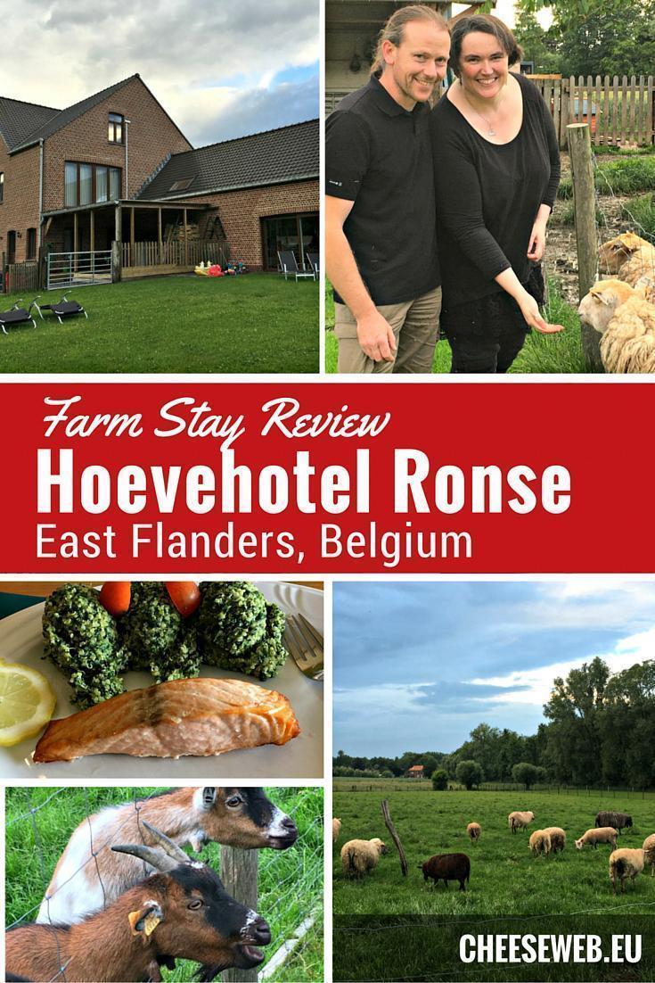 Farm Stay at Hoevehotel Ronse, East Flanders, Belgium