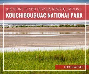 We share eight reasons to visit Kouchibouguac National Park in New Brunswick, Canada from pristine sandy beaches to active outdoor adventures.