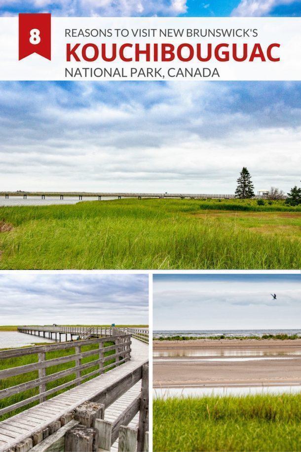 8 Reasons to Visit Kouchibouguac National Park, New Brunswick, Canada Cheese