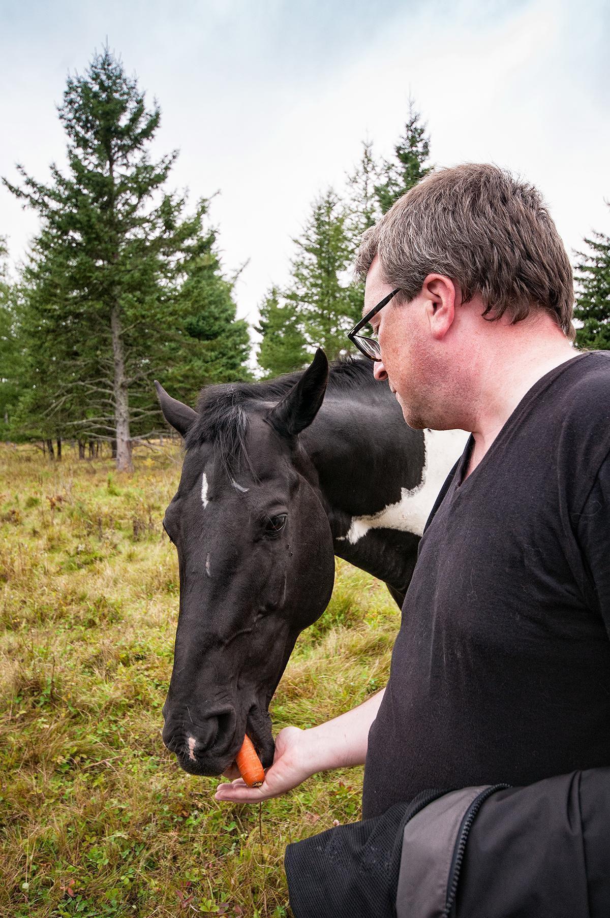 Andrew makes friends with the horses at Au Fond du Bois