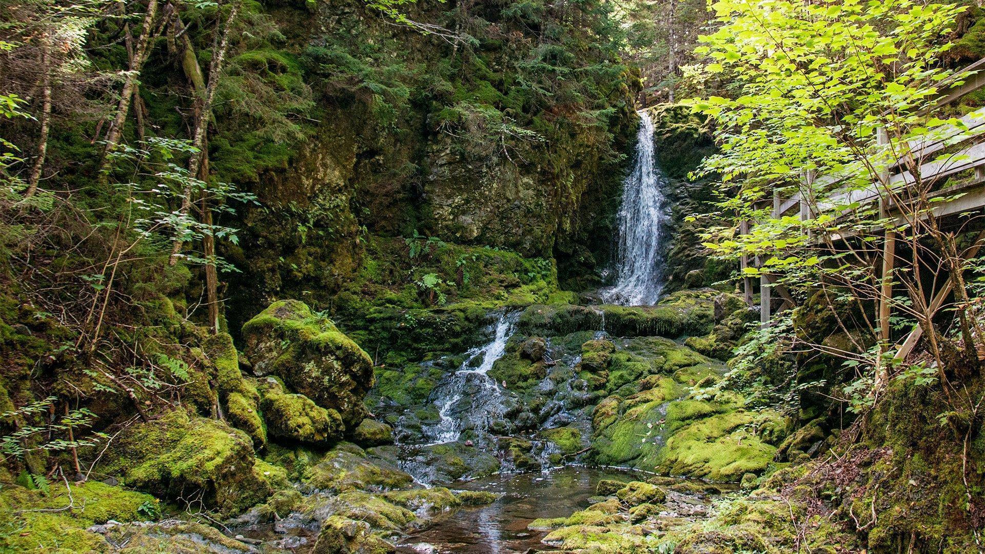 New Brunswick's waterfalls are the perfect reason to hit the hiking trails. 