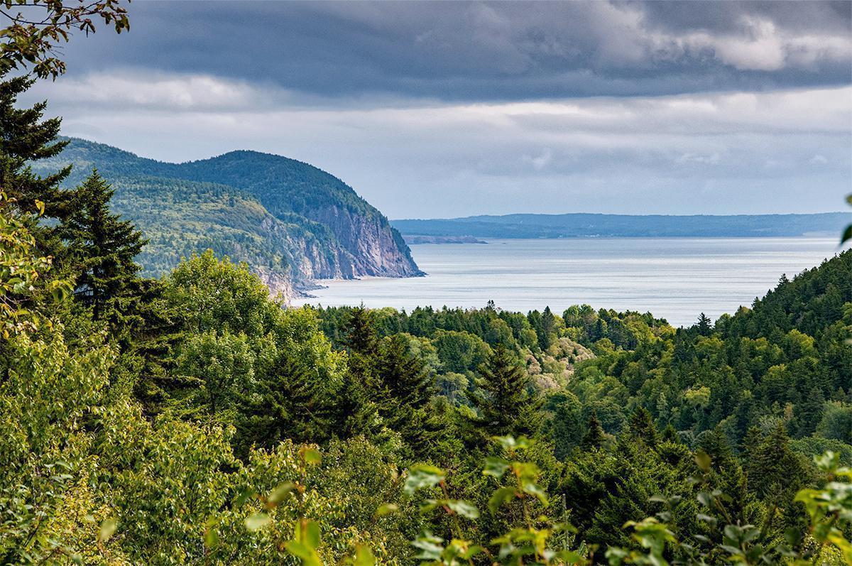 The wondrous views from Fundy National Park in Alma New Brunswick