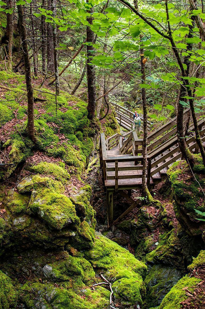 The Dickson Falls trail at Fundy National Park is easy, except there are many stairs