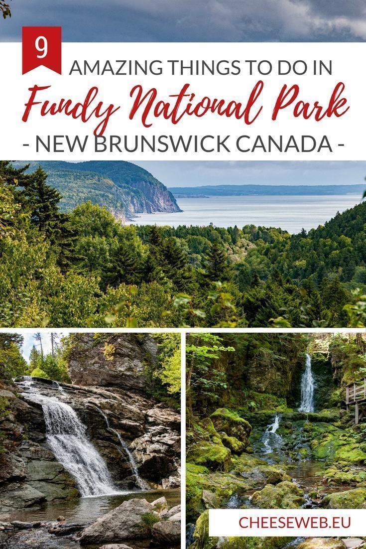 Guide to Fundy National Park in New Brunswick, Canada - Thrillist