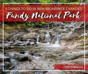 9 things to do in fundy national park new brunswick, canada