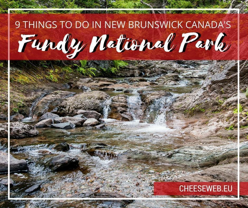 Chasing the World's Highest Tides in the Bay of Fundy: Canadian