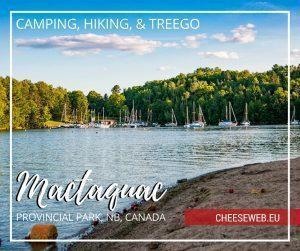 We discover Mactaquac Provincial Park in New Brunswick, Canada where we go camping, hiking, and climbing through the treetops at TreeGo.
