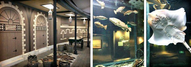 A reproduction of a fish market and the underwater world at the Navigo Museum