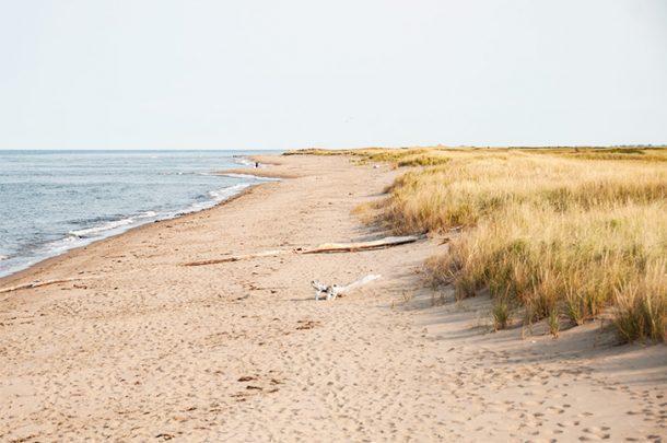 The Ultimate Acadian Coast Road Trip in New Brunswick Canada CheeseWeb