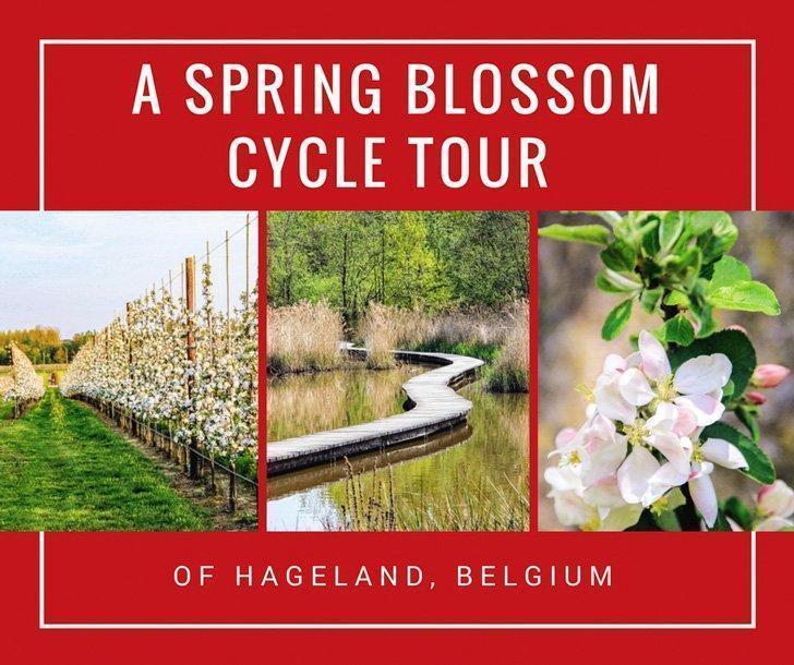 Adrian shares a slow travel cycle trip to discover Belgium’s Hageland area of Flemish Brabant including stops at a winery, ice cream shop, Het Vinne nature reserve, and plenty of beautiful spring blossoms.