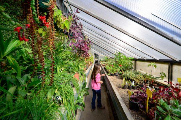 SOFIA BULGARIA WHAT TO DO WITH KIDS visual data 8