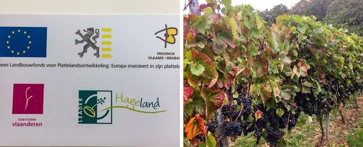 A wine tour of Belgium in Hageland should be on your Bucket List!