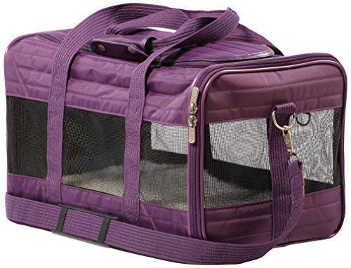 The Ultimate Guide to the Best Cat Carrier for Travel