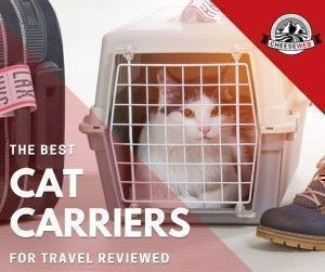 After 20 years of travel with cats, we share our reviews of the best cat carriers for travel with your feline friends from airline approved pet carriers to cat carrier backpacks we have you and your furry friend covered.