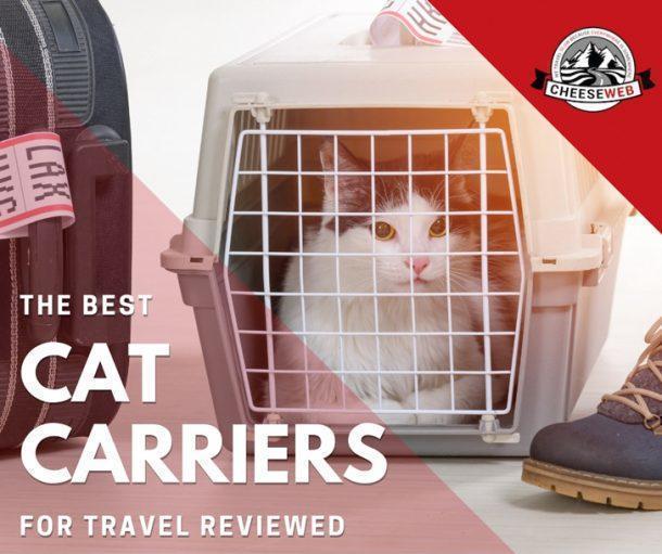 The Ultimate Guide to the Best Cat Carrier for Travel Cheese
