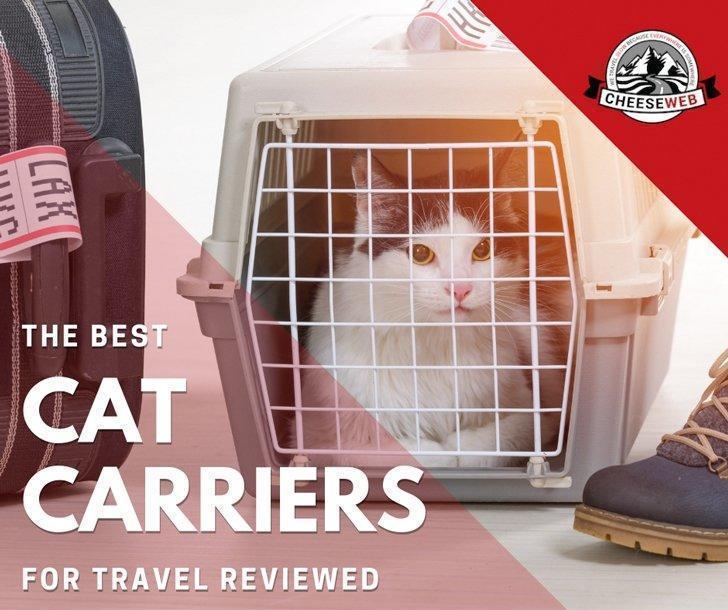 After 20 years of travel with cats, we share our reviews of the best cat carriers for travel with your feline friends from airline approved pet carriers to cat carrier backpacks we have you and your furry friend covered.