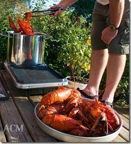 lobster boil copyright ACM Photography
