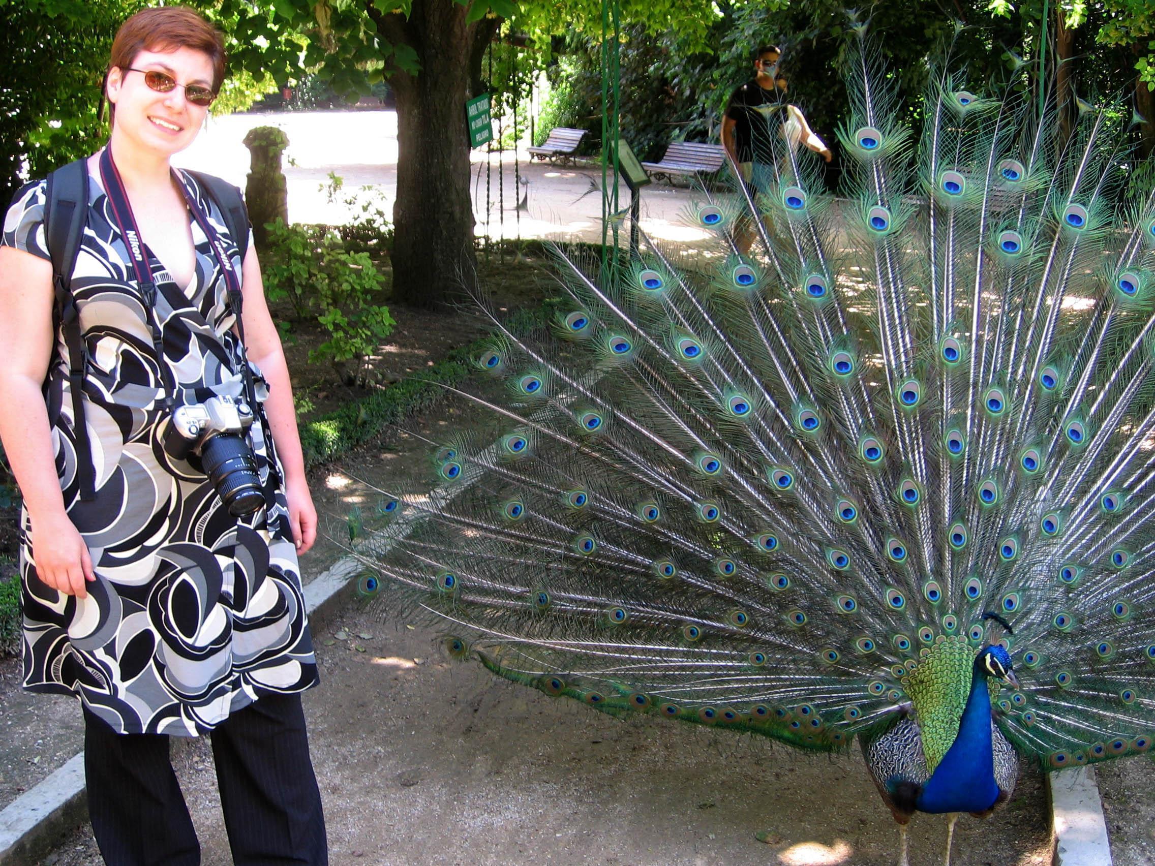 Saying goodbye to the peacocks.